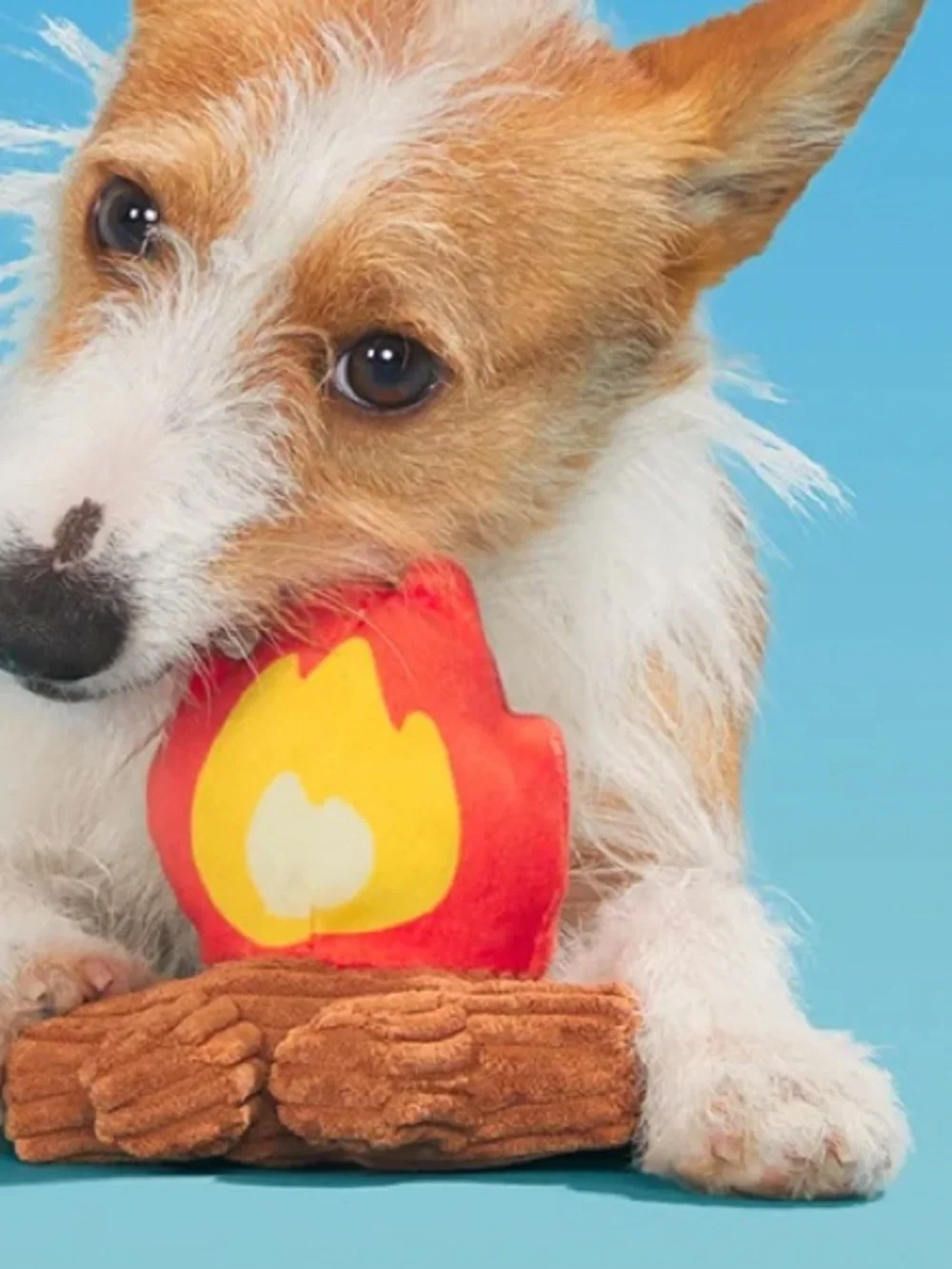Bark ‘A'Hound The Campfire’ Plush Dog Toy
